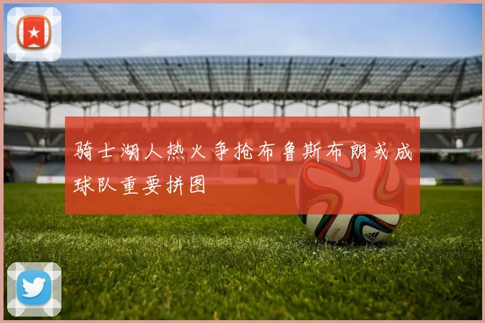 骑士湖人热火争抢布鲁斯布朗或成球队重要拼图